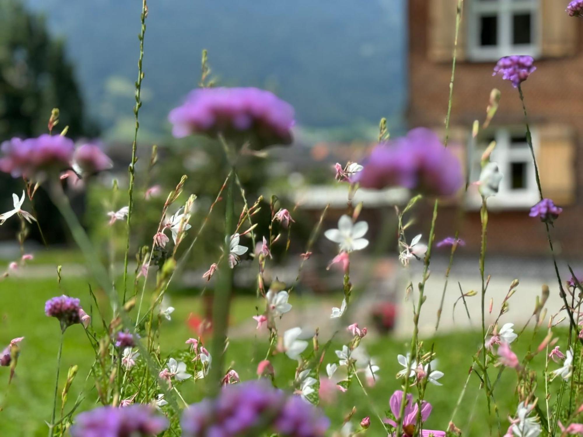 Bregenzerwaelderhaus Ambros Villa Bezau Eksteriør bilde